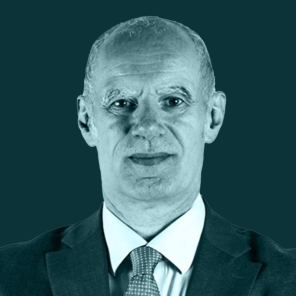Prof. Marco Enrico Ricotti, GraphiCore Advisor